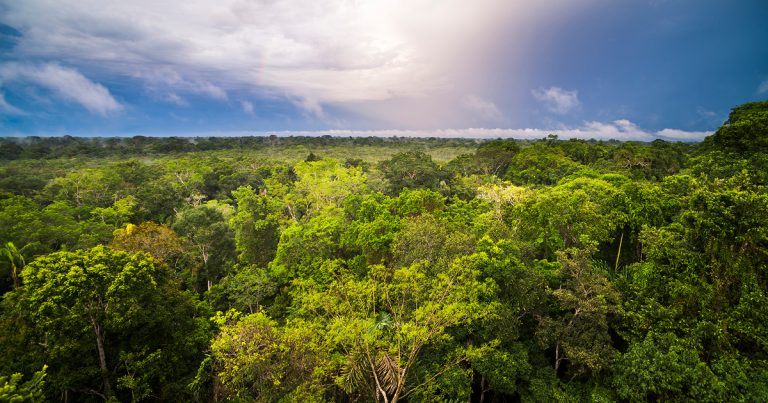 Summit em Estomaterapia na Amazônia