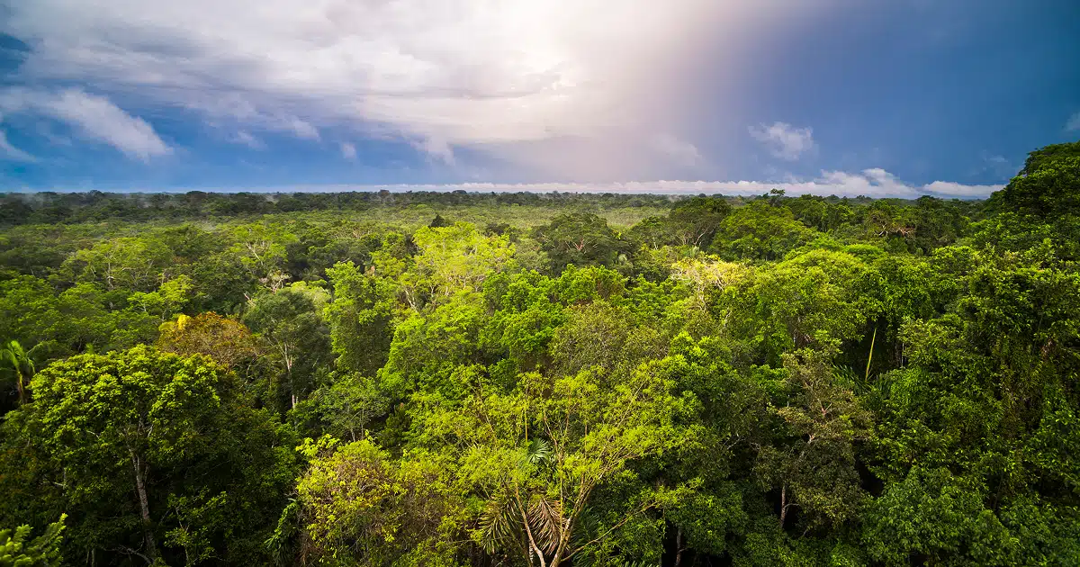 Summit em Estomaterapia na Amazônia